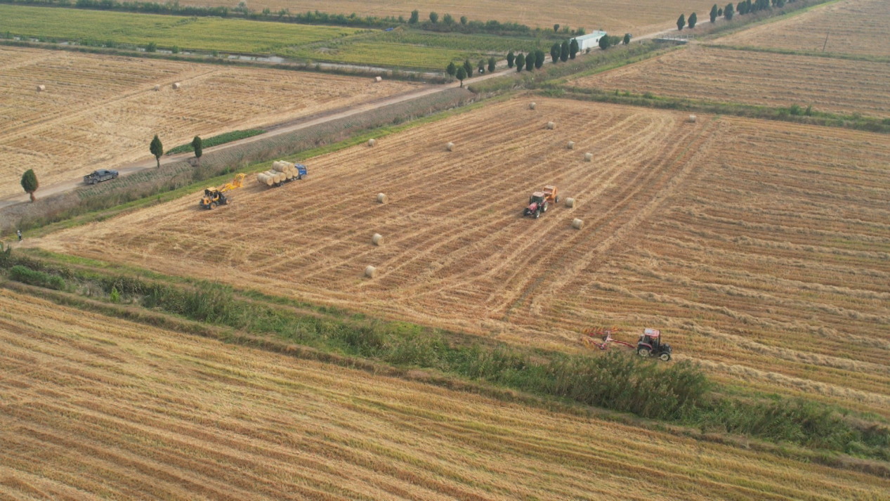 东至县大渡口镇：项目攻坚见实效 激活发展新动能