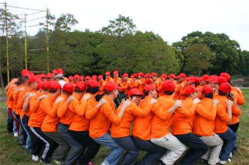 “银”领青春践学于“杏”2025年暑期社会实践活动“三下乡”